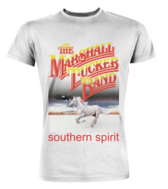 The Marshall Tucker Band WT (8)