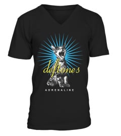 Deftones BK (25)