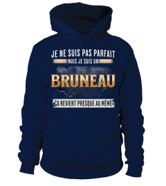 BruneauFr