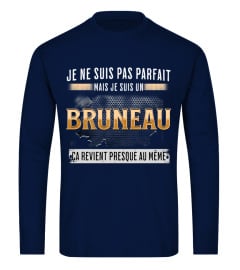 BruneauFr