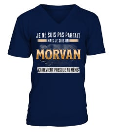 MorvanFr