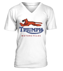 014.WT Triumph Motorcycle