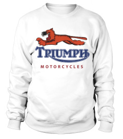 014.WT Triumph Motorcycle