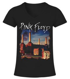 Pink Floyd BK (32)