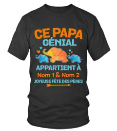 CE PAPA GÉNIAL APPARTIENT À