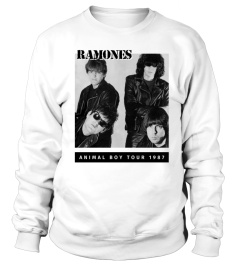 Ramones WT (1)