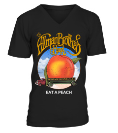 The Allman Brothers Band T1