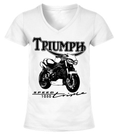 Triumph Speed Triple WT (3)