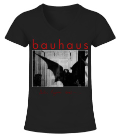 Bauhaus BK (3)