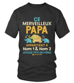 CE MERVEILLEUX PAPA APPARTIENT À