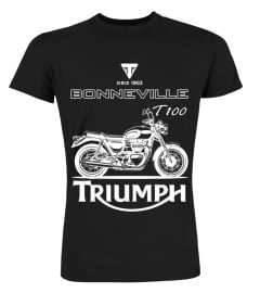 Triumph Bonneville T100 BK (4)