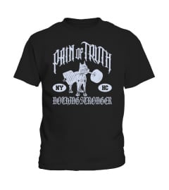 Pain of Truth Merch