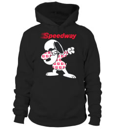 Snoopy Dadbing Speedway