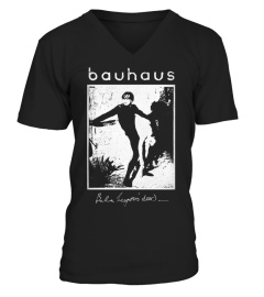 Bauhaus BK (2)