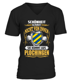 beager-PLOCHINGEN