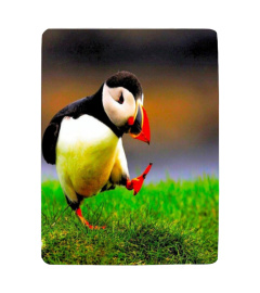 Puffin blanket