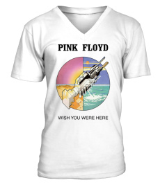 Pink Floyd WT (37)