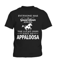 My Guardian Angel Is An Appaloosa