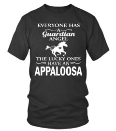 My Guardian Angel Is An Appaloosa