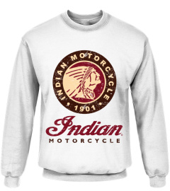 WT Indian Motorcycle (6)