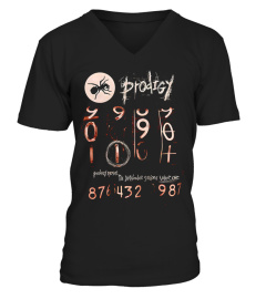 the prodigy bk005