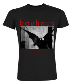 Bauhaus BK (3)