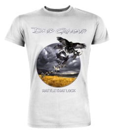 David Gilmour 4 w