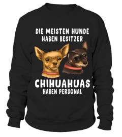 DIE MEISTEN HUNDE  HABEN BESITZER CHIHUAHUAS  HABEN PERSONAL