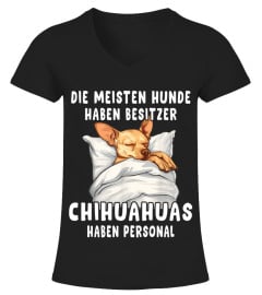 DIE MEISTEN HUNDE  HABEN BESITZER CHIHUAHUAS  HABEN PERSONAL