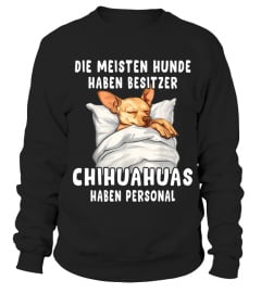 DIE MEISTEN HUNDE  HABEN BESITZER CHIHUAHUAS  HABEN PERSONAL