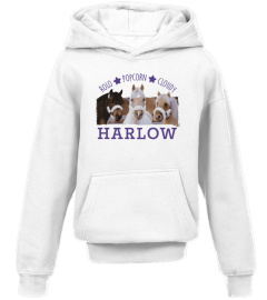 Harlow and Popcorn Merch