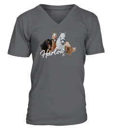 Harlow and Popcorn Merch