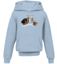 Harlow and Popcorn Merch