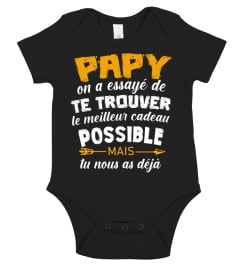 Papy On A Essayé De Te Trouver Le Meilleur Cadeau Possible Mais Tu Nous As Déjà Cadeau TeeFamly®