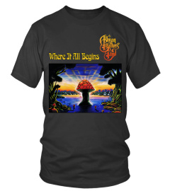 The Allman Brothers Band BK (29)