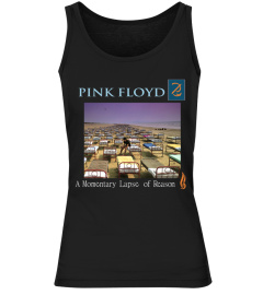 Pink Floyd BK (74)
