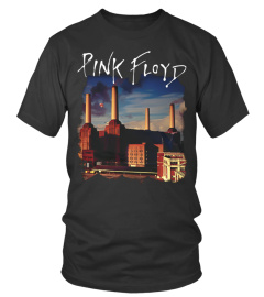 Pink Floyd BK (32)