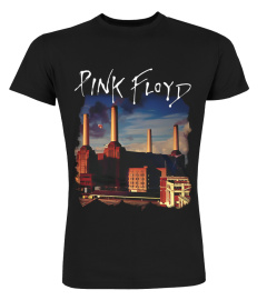 Pink Floyd BK (32)