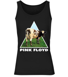 Pink Floyd BK (68)