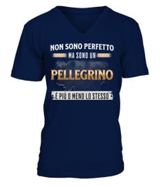 Pellegrinoit