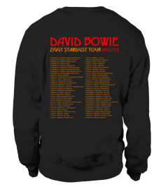 David Bowie Tour 2SD-BK 001