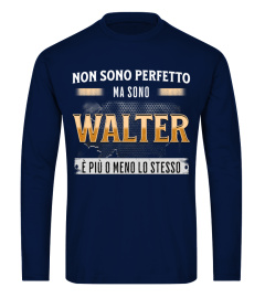 Walterit