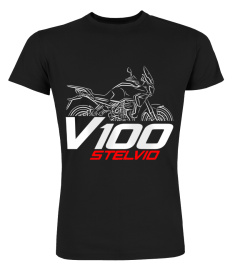 MOTO GUZZI V100 STELVIO BK11.7.1 B