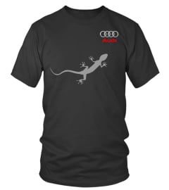 Audi (4)