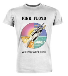 Pink Floyd WT (37)