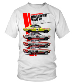 Holden Dealer Team WT 006