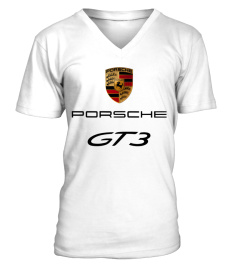 Porsche WT 001 (2)