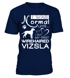 Normal-until-Wirehaired-Vizsla