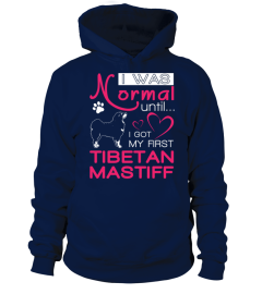 Normal-until-Tibetan-Mastiff-P