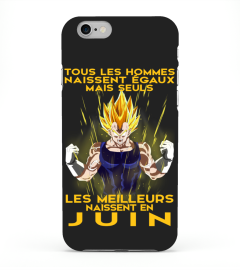 VEGETA-JUIN